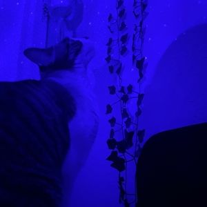 Meet your Posher, Kallyn